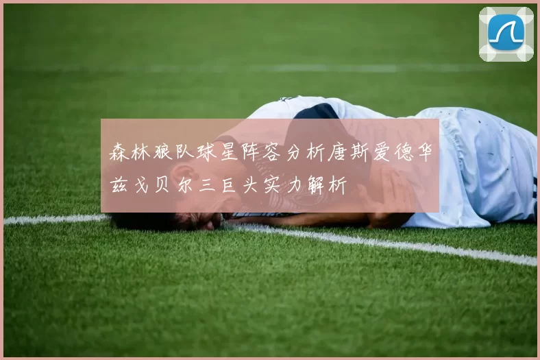 森林狼队球星阵容分析唐斯爱德华兹戈贝尔三巨头实力解析