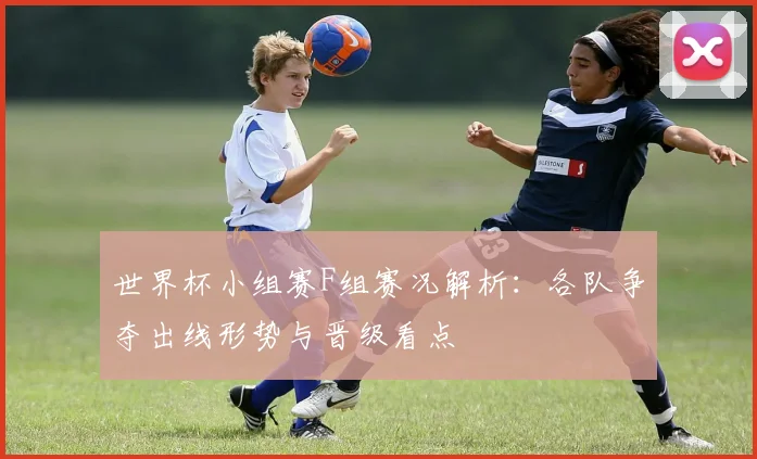 世界杯小组赛F组赛况解析:各队争夺出线形势与晋级看点