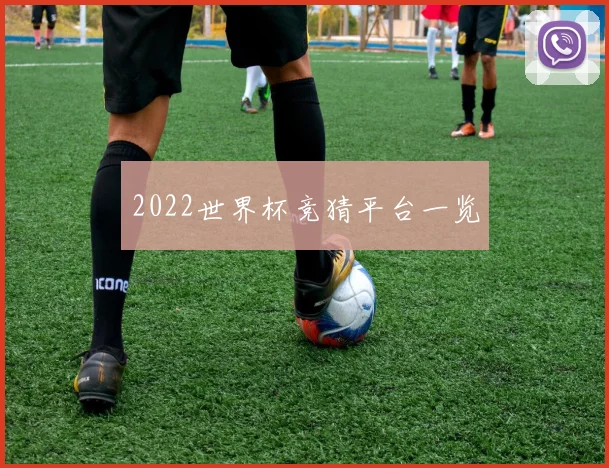 2022世界杯竞猜平台一览