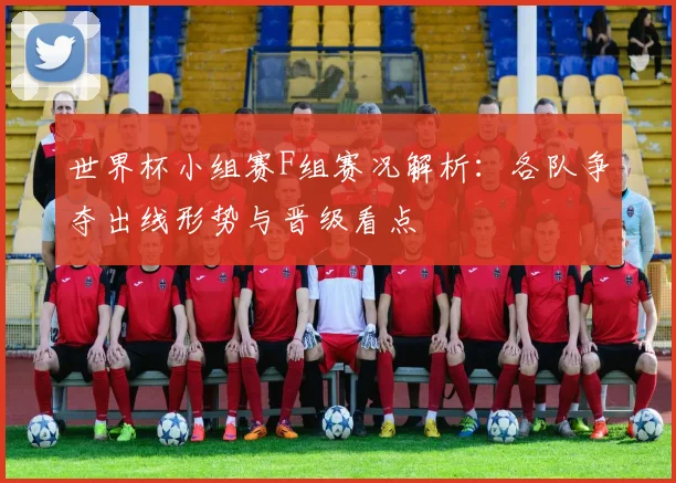 世界杯小组赛F组赛况解析：各队争夺出线形势与晋级看点
