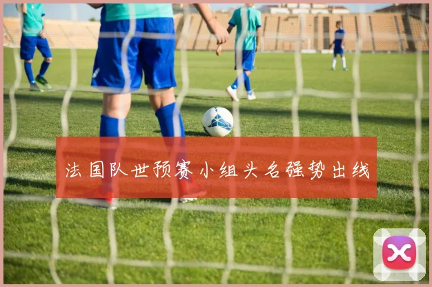 法国队世预赛小组头名强势出线