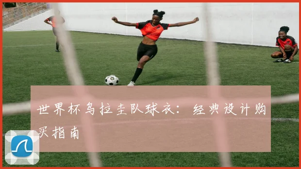 世界杯乌拉圭队球衣：经典设计购买指南