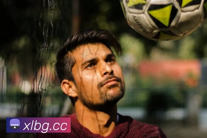 aoa官网入口 - (中国)官方网站平台生态图